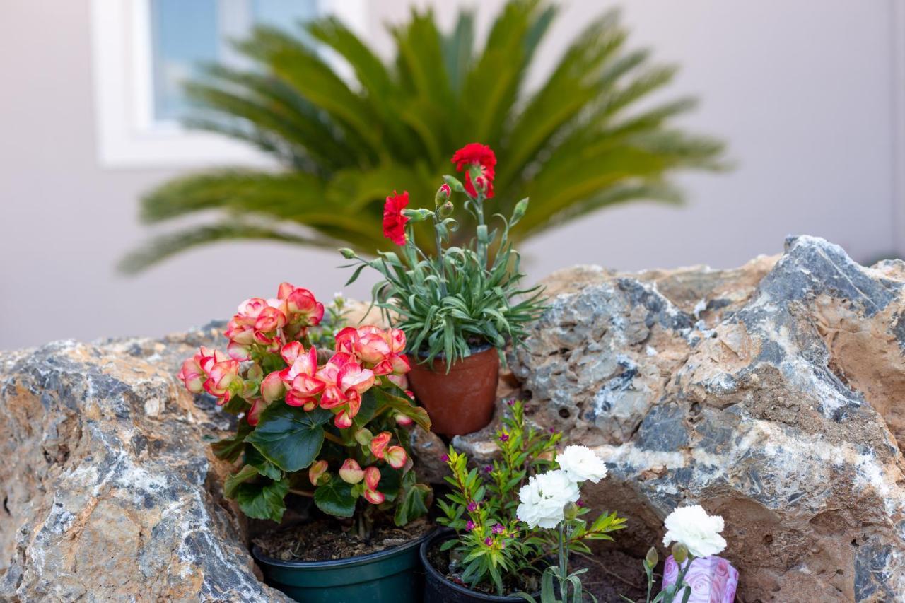 Nightingale Villa & Suites Corfu Gazátika Exteriör bild